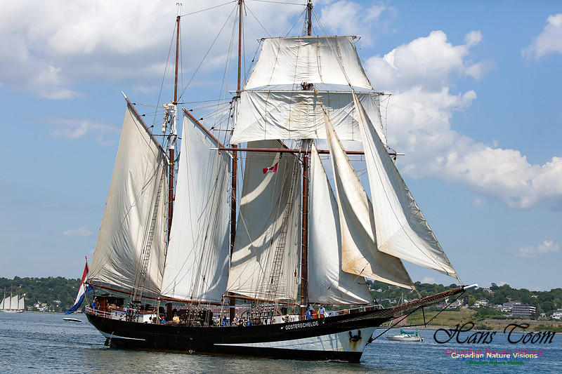 Oosterschelde 5