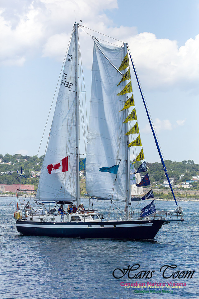 Regina-Germania 3