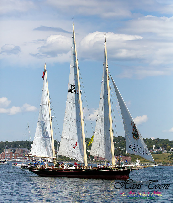 Spirit of Bermuda 4