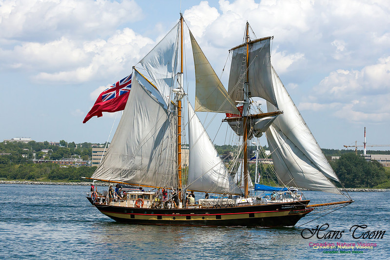 St. Lawrence II 1