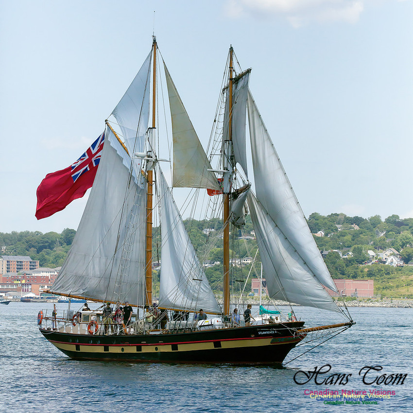 St. Lawrence II 5