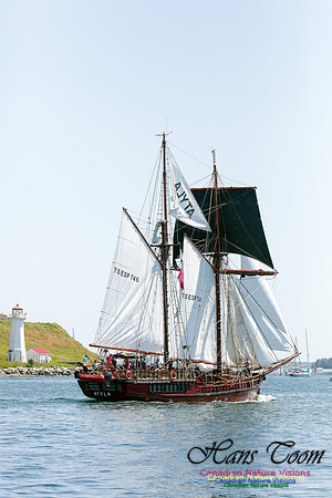 Atlya 3