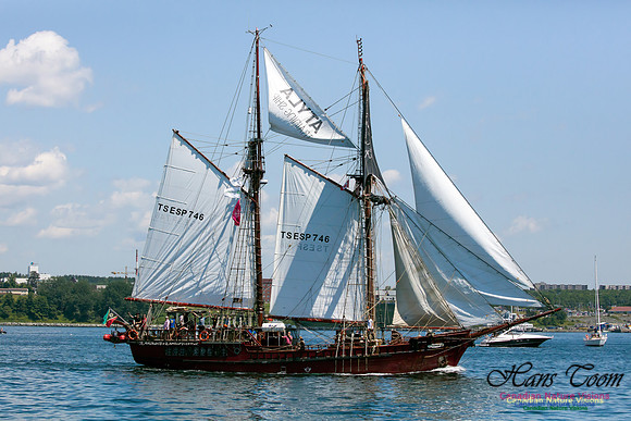 Atlya 5