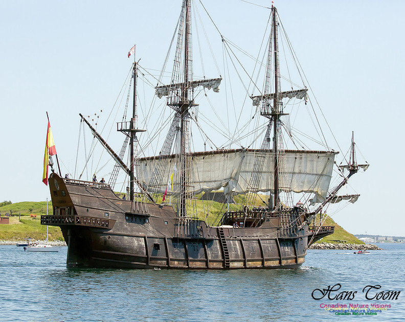 El Galeon 8