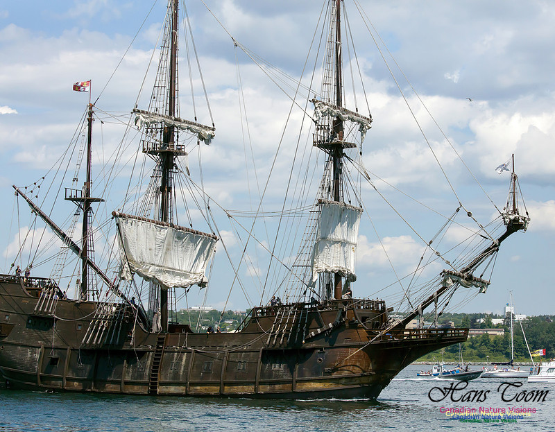 El Galeon 12