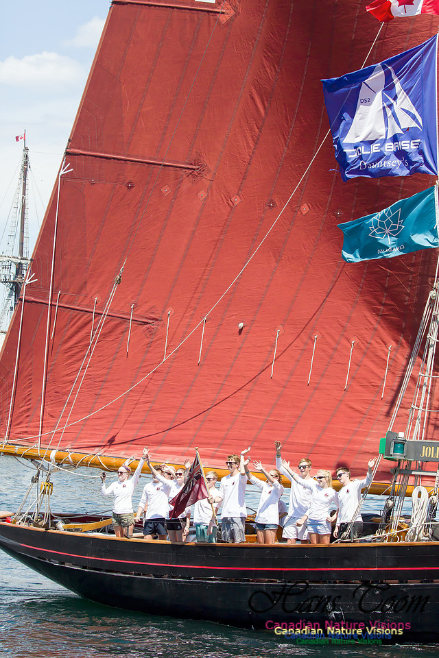 Jolie Brise 11