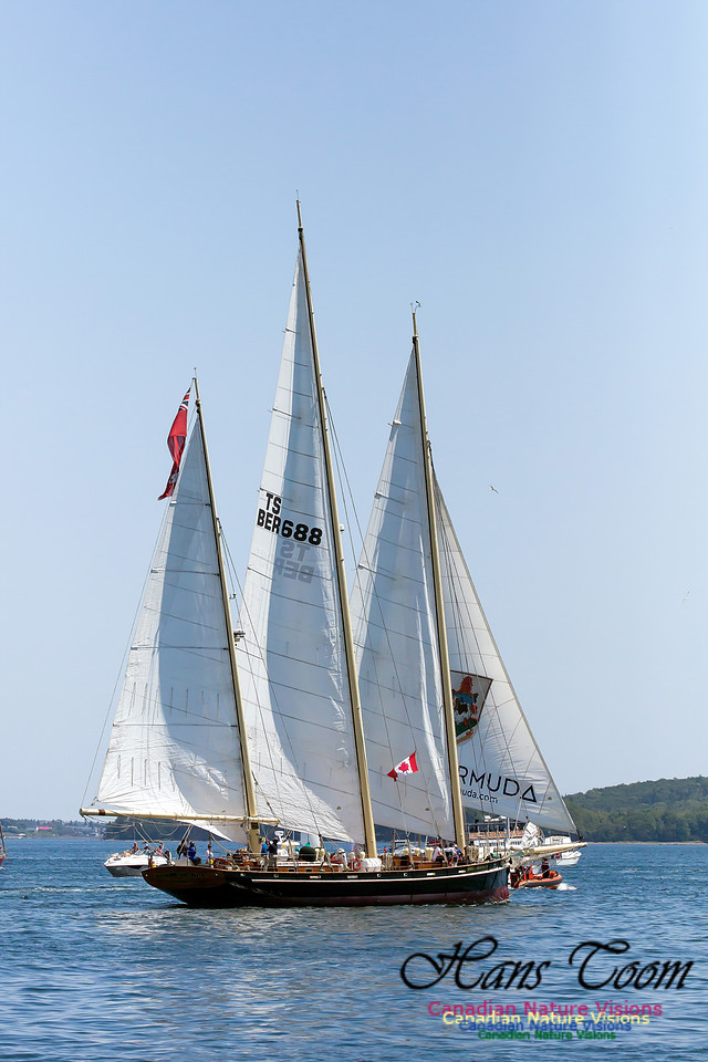 Spirit of Bermuda 5