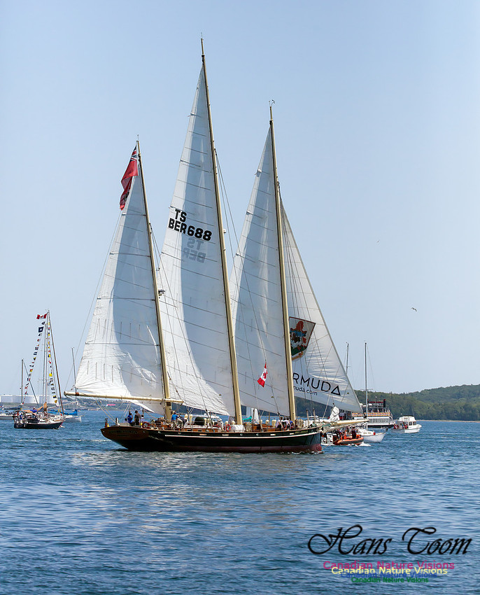 Spirit of Bermuda 6