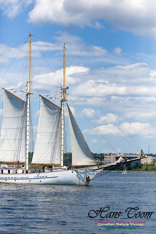 Blue Clipper 12