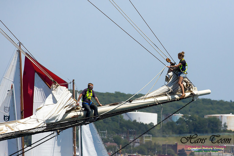 Blue Clipper 22