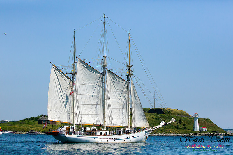Blue Clipper 17