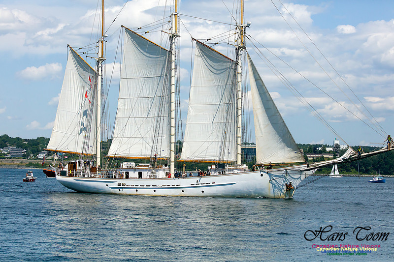 Blue Clipper 18