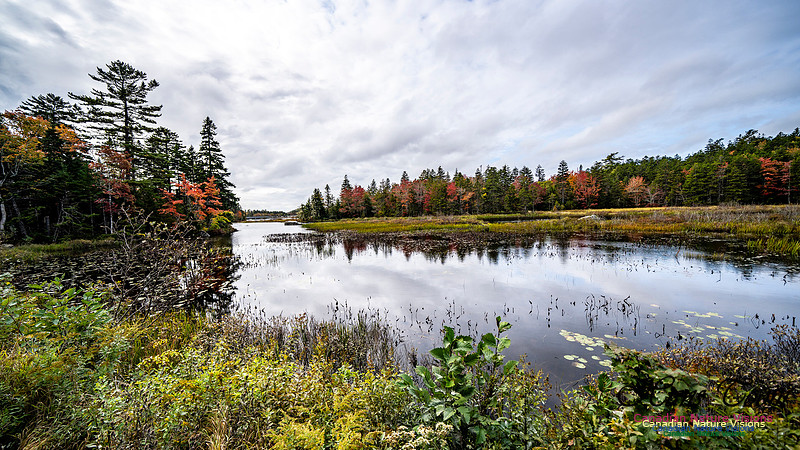 More Early Fall Photos in Nova Scotia 205