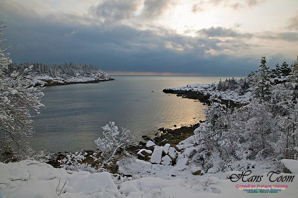 Herring Cove