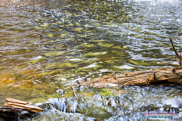 Moving Water 14