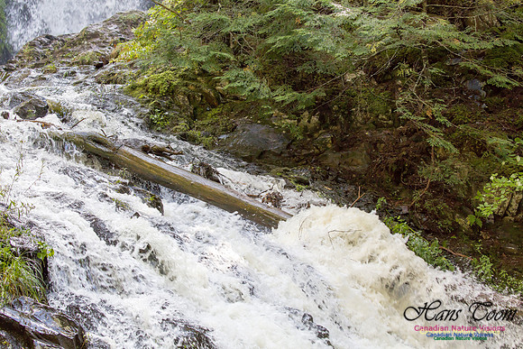 Moving Water 17
