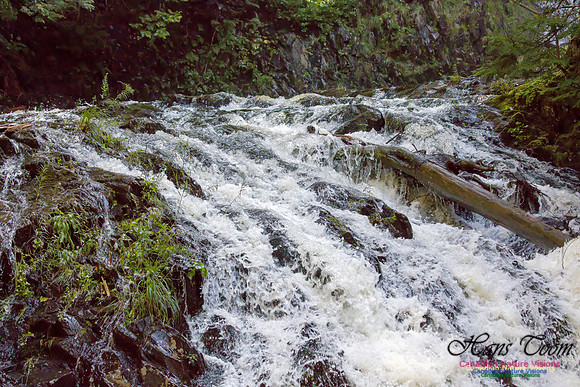 Moving Water 21