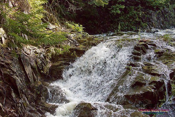 Moving Water 19