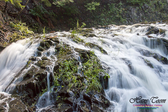 Moving Water 20