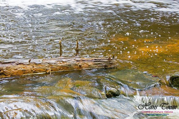 Moving Water 2