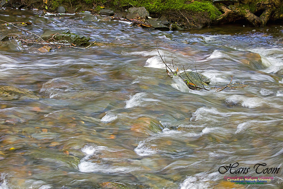Moving Water 5