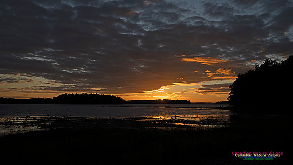 Kejimkujik Lake Sunset 103