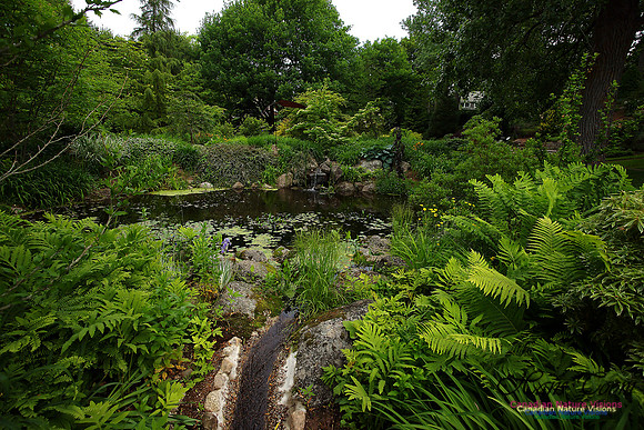 Annapolis Roya Historic Gardens