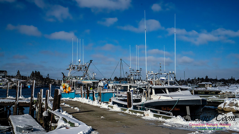 Nova Scotia Winter 312