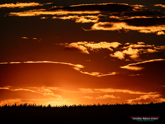 Peggy's Cove Sunset 903