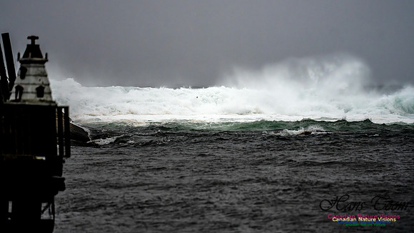 Nova Scotia Gale 2024-09-07 192