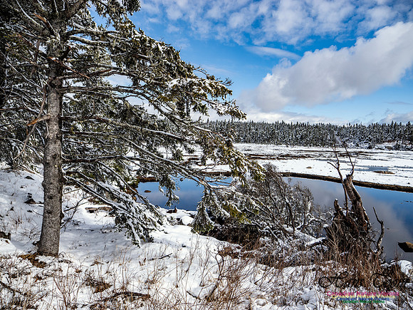 April Snow in Nova Scotia 210