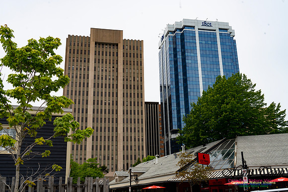 Halifax Waterfront Stroll 153