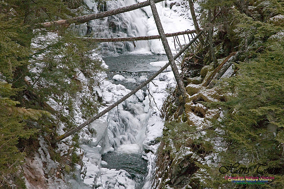 Dawson Brook Falls