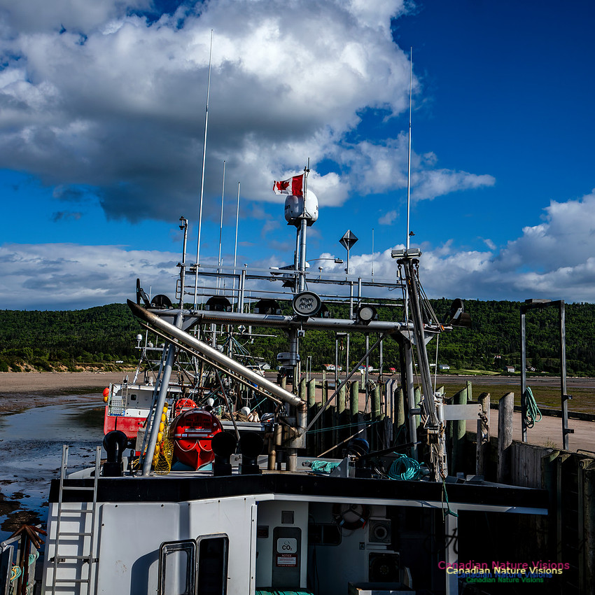Fishing Gear 100