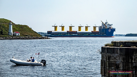 Floating Wind Turbines 100