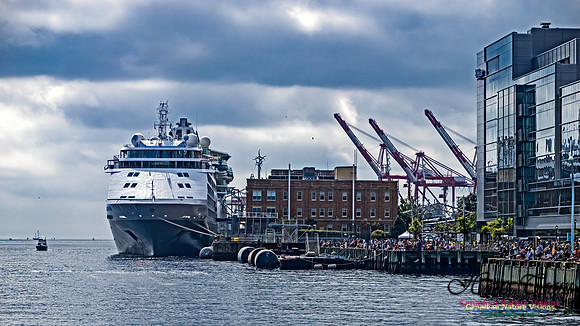 Cruise Ship Terminal 100