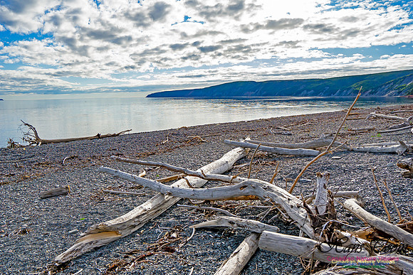 Cape Chignecto 100
