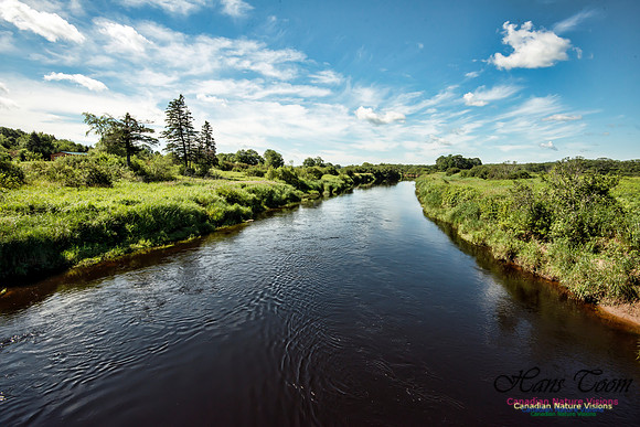 Musquodoboit River