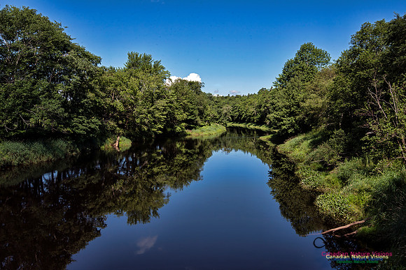 Musquodoboit River