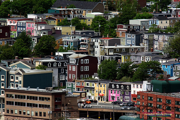 St. John's, Newfoundland and Labrador