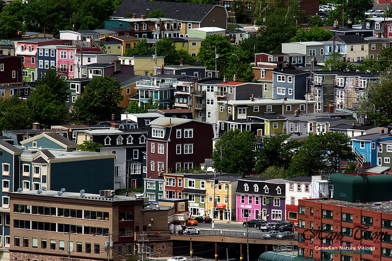 St. John's, Newfoundland and Labrador