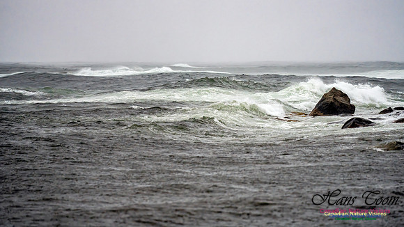 Nova Scotia Gale 2024-09-07 197