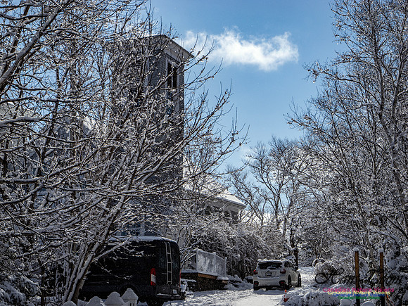 April Snow in Nova Scotia 227