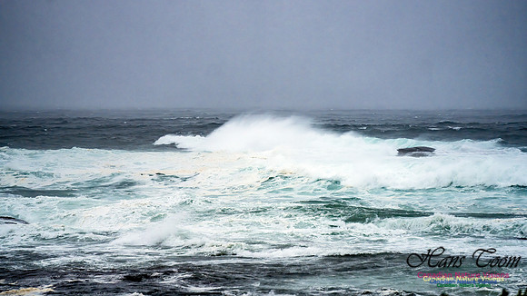 Nova Scotia Gale 2024-09-07 147