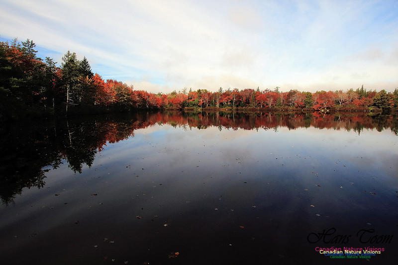 Fall Colours 2017 18