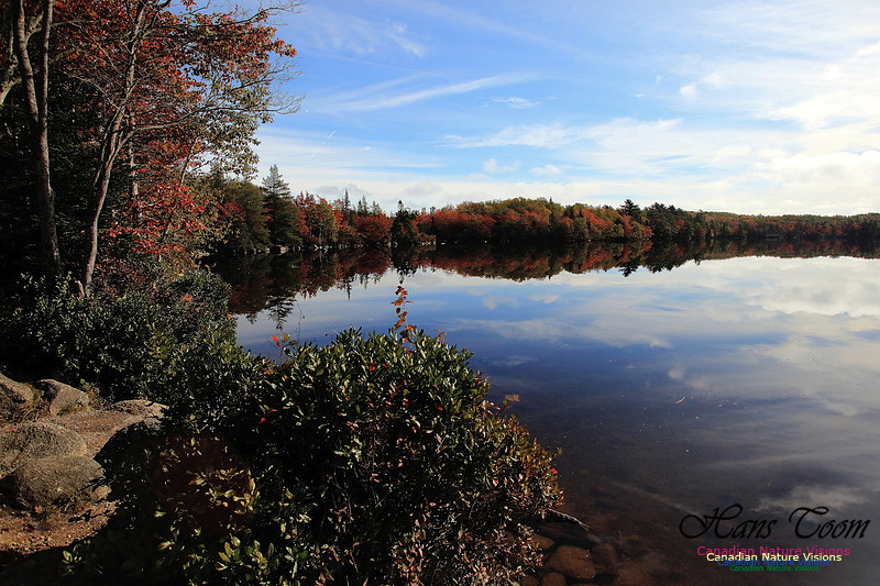 Fall Colours 2017 19