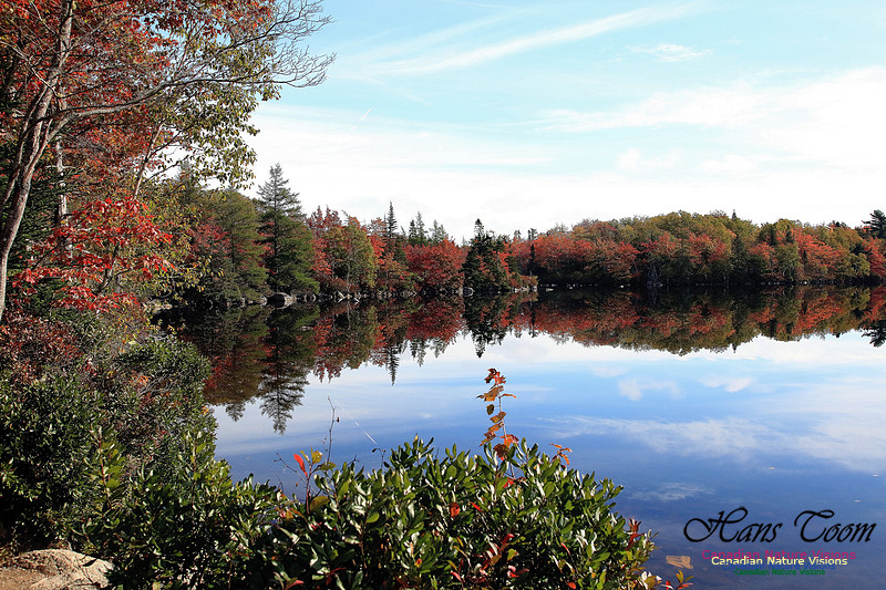 Fall Colours 2017 20