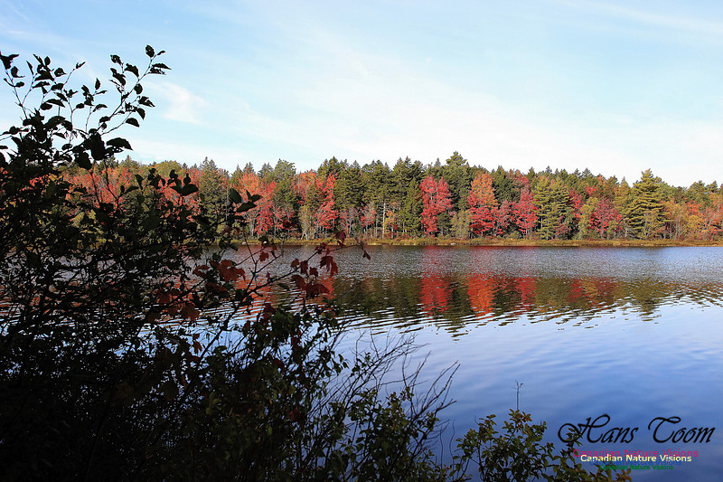 Fall Colours 2017 22