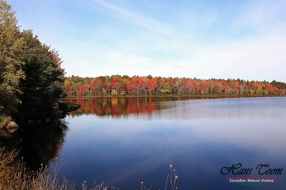 Fall Colours 2017 21