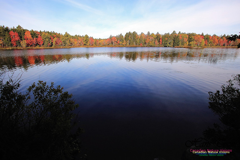 Fall Colours 2017 23